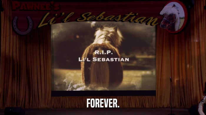 FOREVER.  