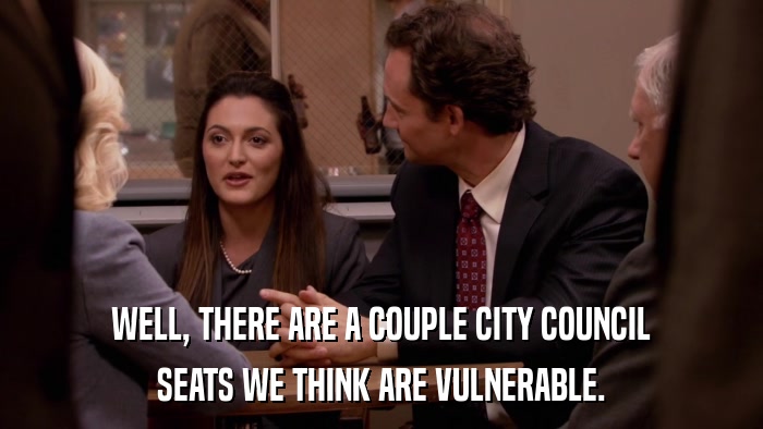 WELL, THERE ARE A COUPLE CITY COUNCIL SEATS WE THINK ARE VULNERABLE. 