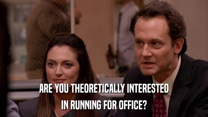 ARE YOU THEORETICALLY INTERESTED IN RUNNING FOR OFFICE? 