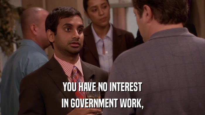 YOU HAVE NO INTEREST IN GOVERNMENT WORK, 