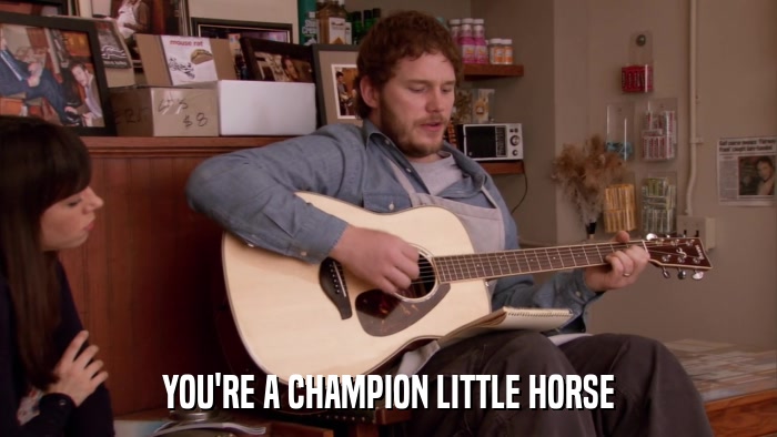 YOU'RE A CHAMPION LITTLE HORSE  
