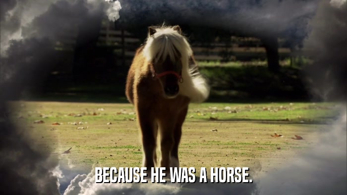 BECAUSE HE WAS A HORSE.  
