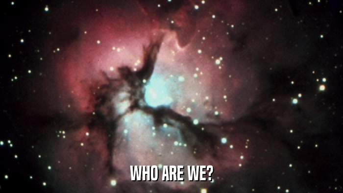 WHO ARE WE?  