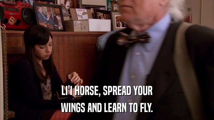 LI'I HORSE, SPREAD YOUR WINGS AND LEARN TO FLY. 