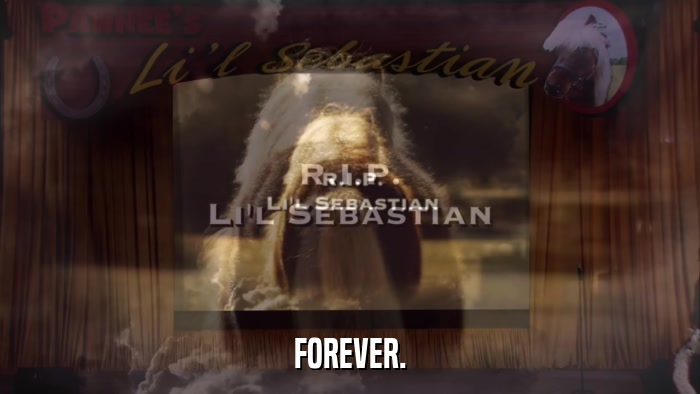 FOREVER.  