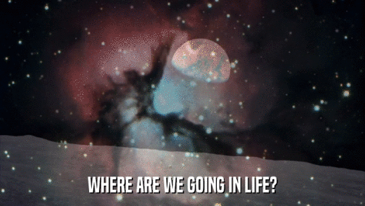 WHERE ARE WE GOING IN LIFE?  