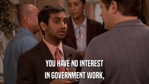 YOU HAVE NO INTEREST IN GOVERNMENT WORK, 