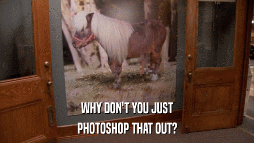 WHY DON'T YOU JUST PHOTOSHOP THAT OUT? 