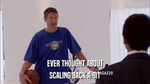 EVER THOUGHT ABOUT SCALING BACK A BIT 