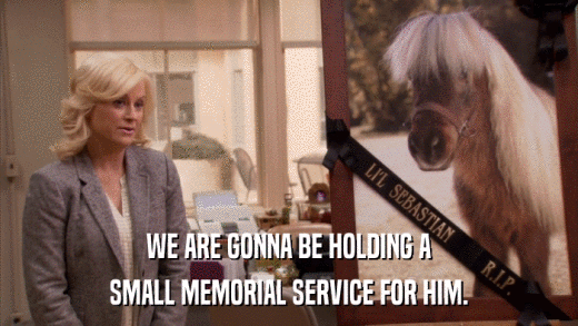 WE ARE GONNA BE HOLDING A SMALL MEMORIAL SERVICE FOR HIM. 
