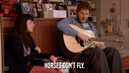 HORSES DON'T FLY.  