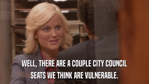 WELL, THERE ARE A COUPLE CITY COUNCIL SEATS WE THINK ARE VULNERABLE. 