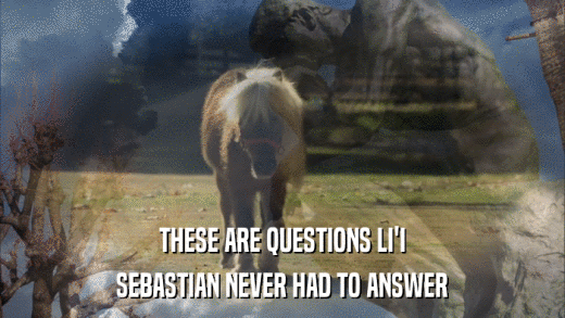 THESE ARE QUESTIONS LI'I SEBASTIAN NEVER HAD TO ANSWER 