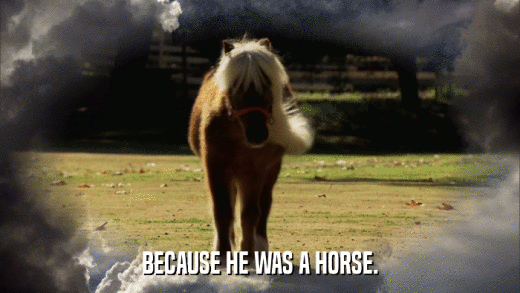 BECAUSE HE WAS A HORSE.  
