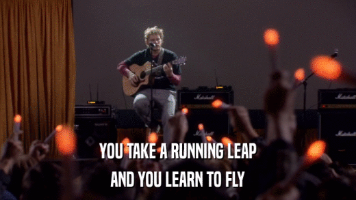 YOU TAKE A RUNNING LEAP AND YOU LEARN TO FLY 