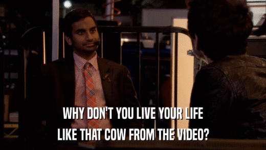 WHY DON'T YOU LIVE YOUR LIFE LIKE THAT COW FROM THE VIDEO? 