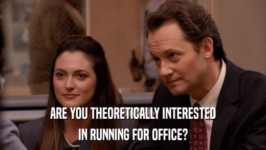 ARE YOU THEORETICALLY INTERESTED IN RUNNING FOR OFFICE? 