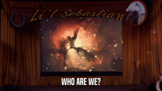 WHO ARE WE?  