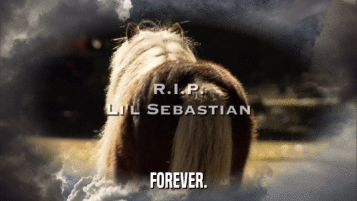 FOREVER.  