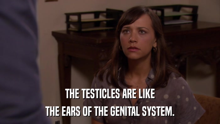 THE TESTICLES ARE LIKE THE EARS OF THE GENITAL SYSTEM. 