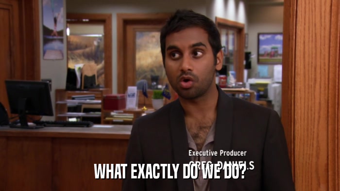 WHAT EXACTLY DO WE DO?  
