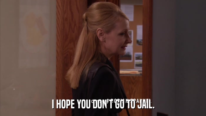 I HOPE YOU DON'T GO TO JAIL.  