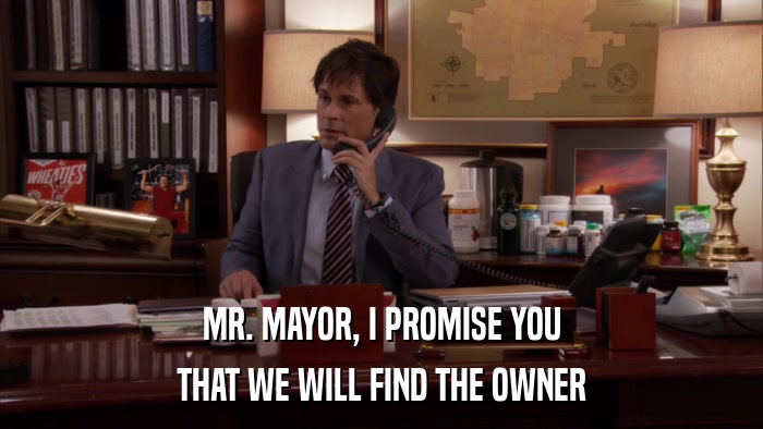 MR. MAYOR, I PROMISE YOU THAT WE WILL FIND THE OWNER 
