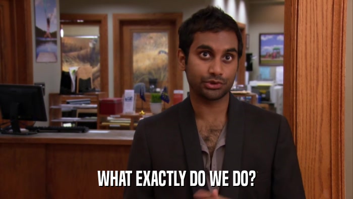 WHAT EXACTLY DO WE DO?  