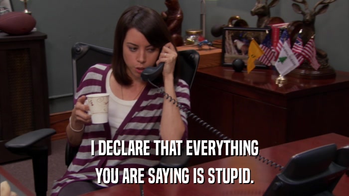 I DECLARE THAT EVERYTHING YOU ARE SAYING IS STUPID. 