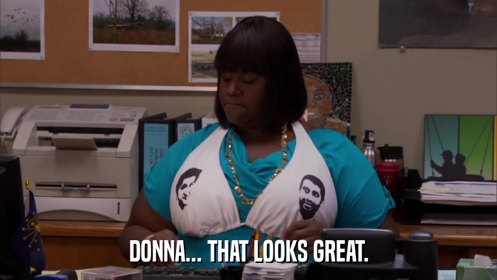 DONNA... THAT LOOKS GREAT.  