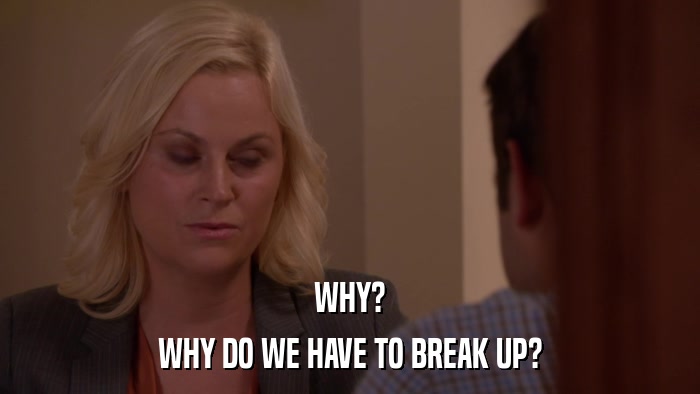 WHY? WHY DO WE HAVE TO BREAK UP? 