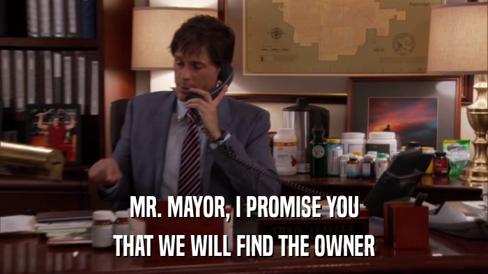 MR. MAYOR, I PROMISE YOU THAT WE WILL FIND THE OWNER 