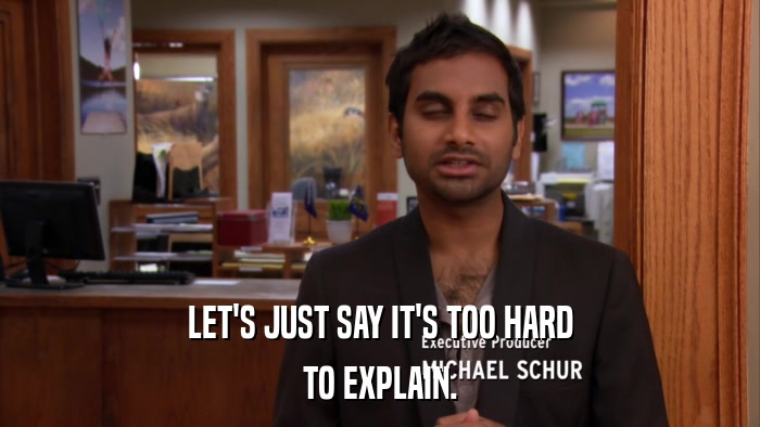 LET'S JUST SAY IT'S TOO HARD TO EXPLAIN. 
