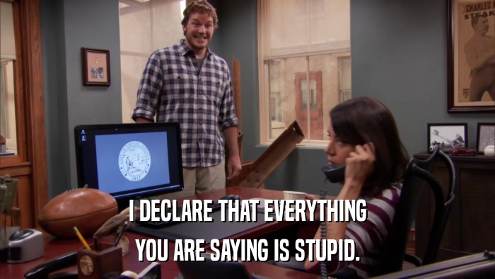 I DECLARE THAT EVERYTHING YOU ARE SAYING IS STUPID. 