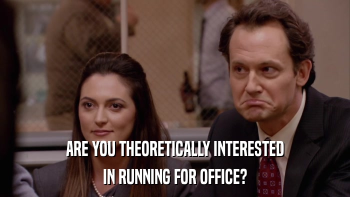 ARE YOU THEORETICALLY INTERESTED IN RUNNING FOR OFFICE? 