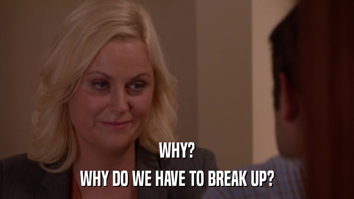 WHY? WHY DO WE HAVE TO BREAK UP? 