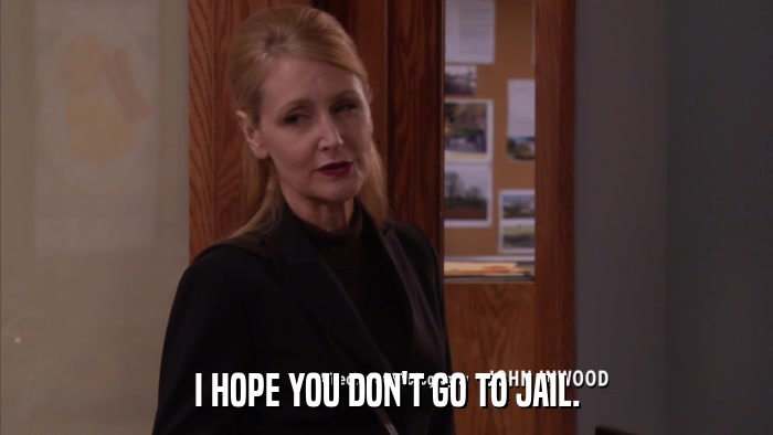 I HOPE YOU DON'T GO TO JAIL.  