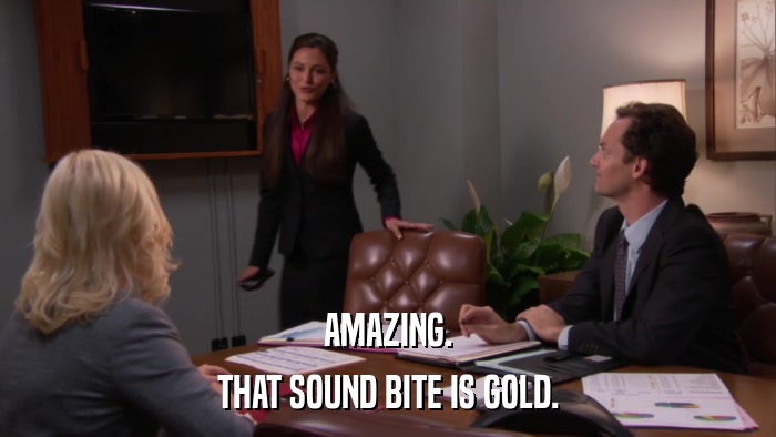 AMAZING. THAT SOUND BITE IS GOLD. 