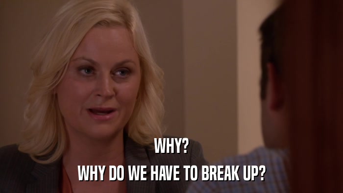 WHY? WHY DO WE HAVE TO BREAK UP? 