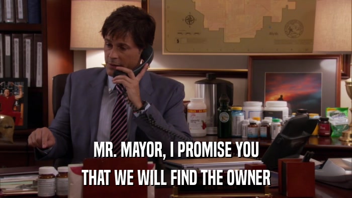 MR. MAYOR, I PROMISE YOU THAT WE WILL FIND THE OWNER 