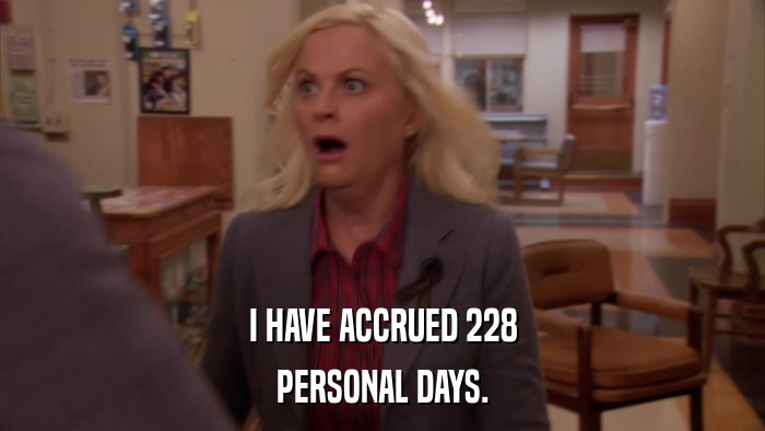 I HAVE ACCRUED 228 PERSONAL DAYS. 