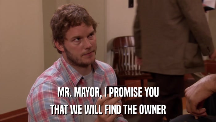 MR. MAYOR, I PROMISE YOU THAT WE WILL FIND THE OWNER 