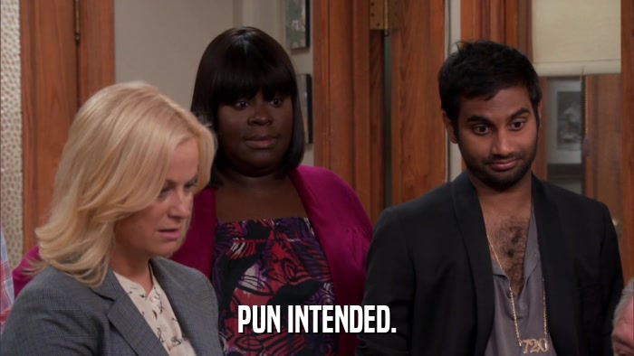 PUN INTENDED.  