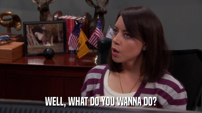 WELL, WHAT DO YOU WANNA DO?  