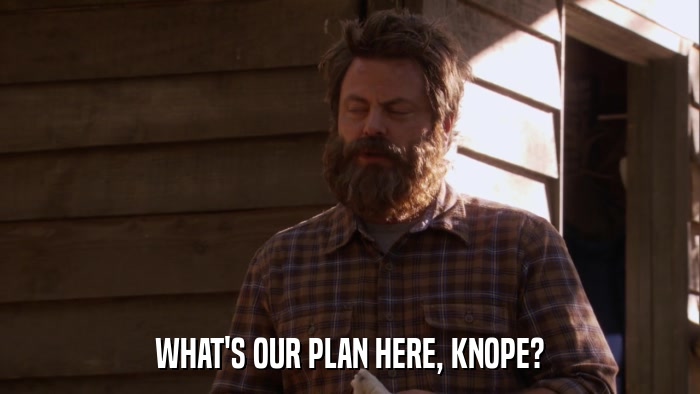 WHAT'S OUR PLAN HERE, KNOPE?  