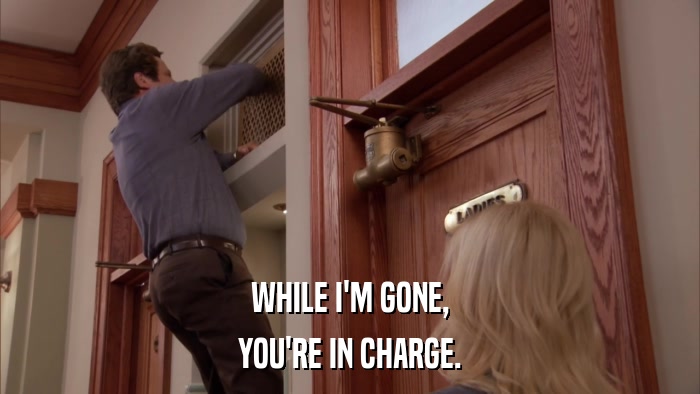 WHILE I'M GONE, YOU'RE IN CHARGE. 