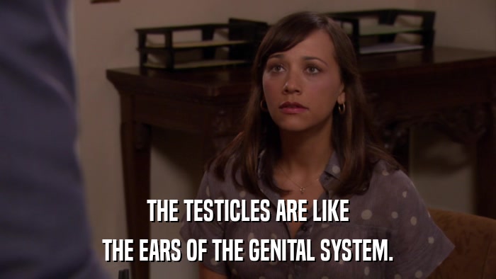 THE TESTICLES ARE LIKE THE EARS OF THE GENITAL SYSTEM. 