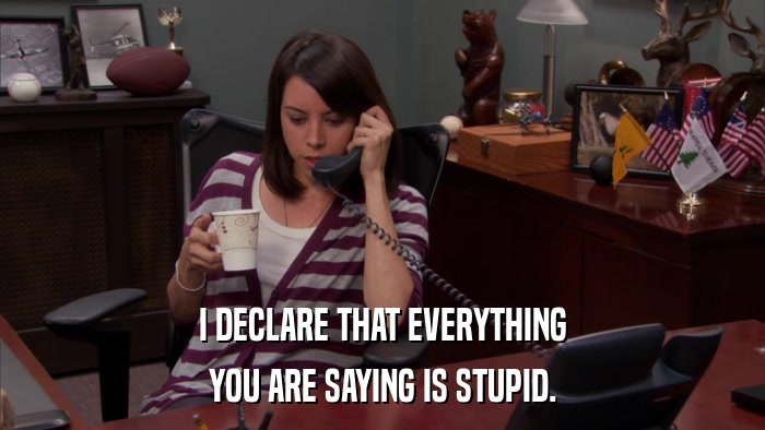 I DECLARE THAT EVERYTHING YOU ARE SAYING IS STUPID. 