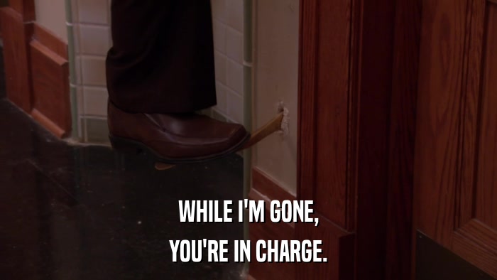 WHILE I'M GONE, YOU'RE IN CHARGE. 