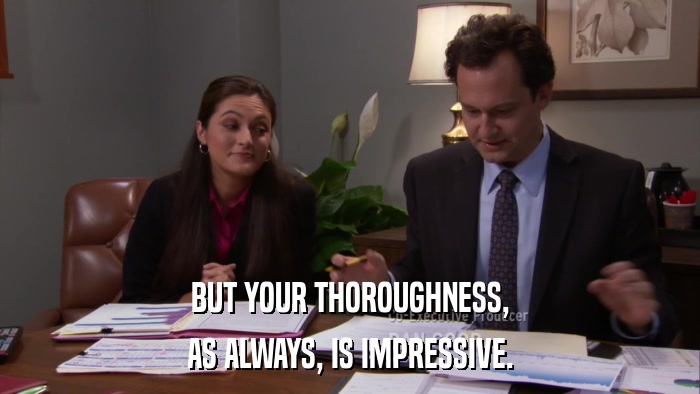 BUT YOUR THOROUGHNESS, AS ALWAYS, IS IMPRESSIVE. 